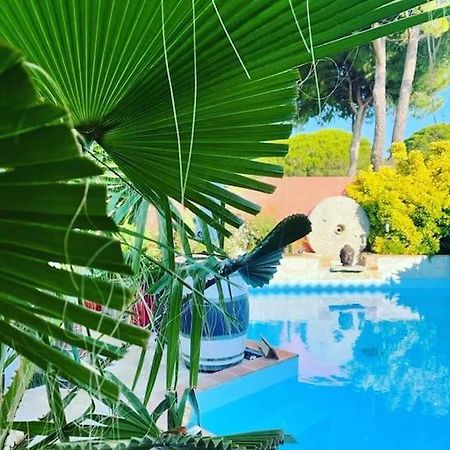 Hebergement Insolite Studio Grau Du Roi Mas Des Marines Piscine Le Grau-du-Roi Dış mekan fotoğraf