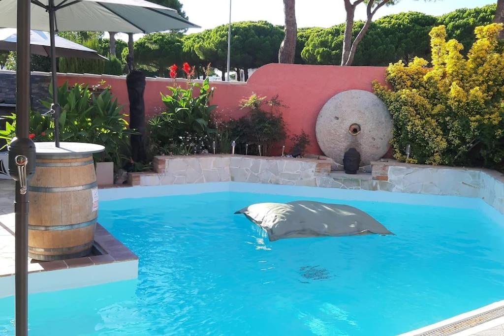 Hebergement Insolite Studio Grau Du Roi Mas Des Marines Piscine Le Grau-du-Roi Dış mekan fotoğraf